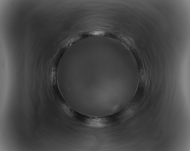 X0000084520527200703021358