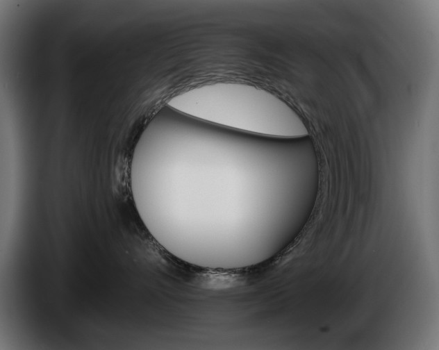 X0000084520528200703021358