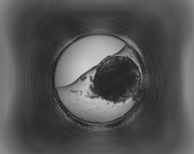 X0000084520529200703021357