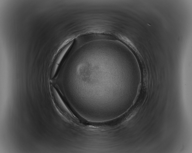 X0000084520530200703021357