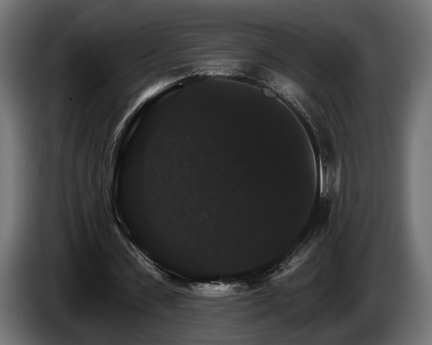 X0000084520531200703021358