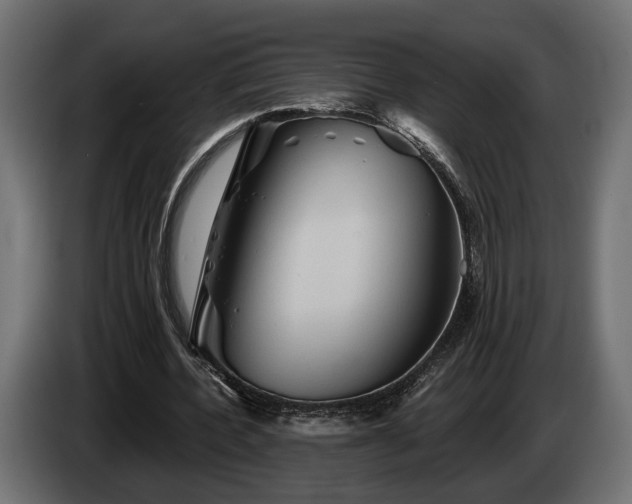 X0000084520532200703021358