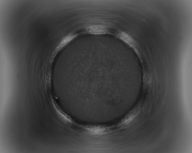 X0000084520533200703021358