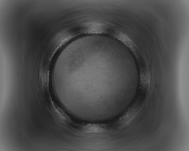 X0000084520534200703021358