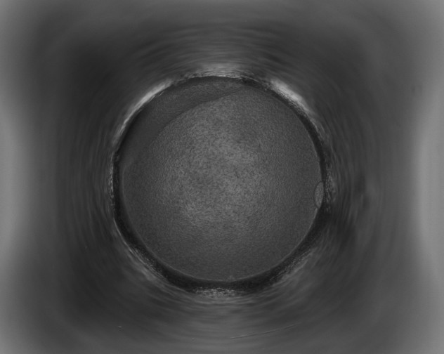 X0000084520535200703021358