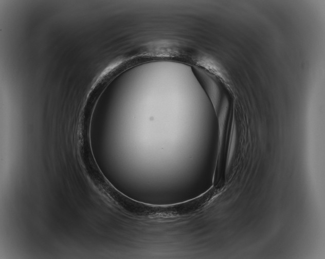 X0000084520536200703021358