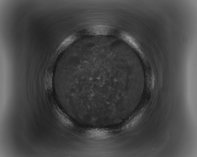 X0000084520537200703021358