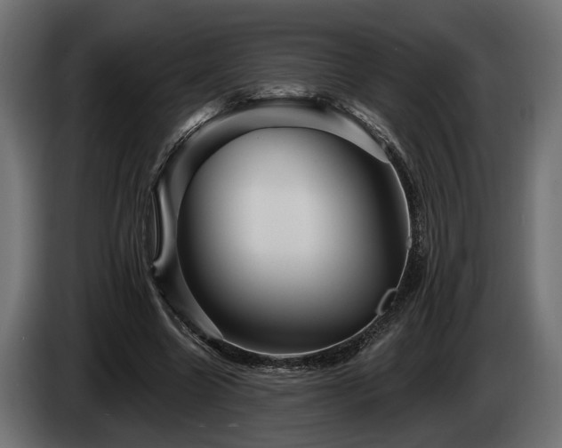 X0000084520538200703021358