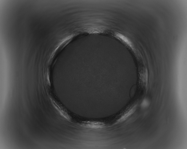 X0000084520539200703021358