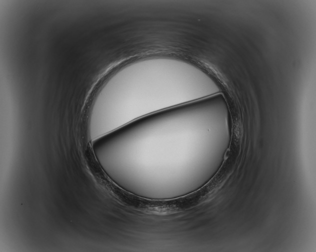 X0000084520540200703021358