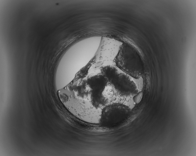 X0000084520541200703021358