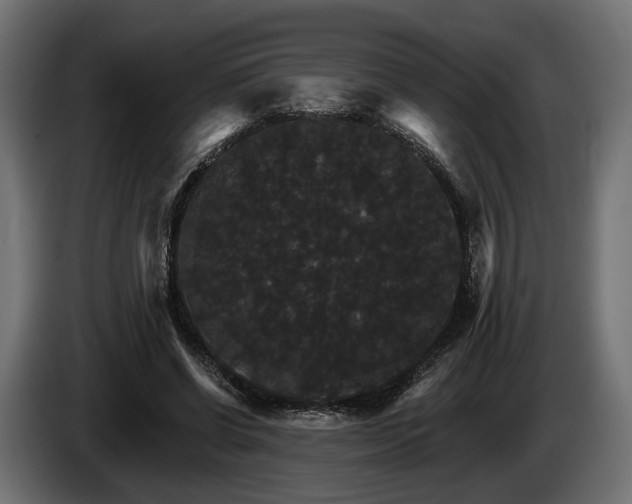 X0000084520542200703021358