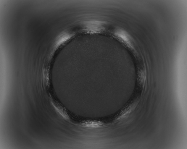 X0000084520543200703021358