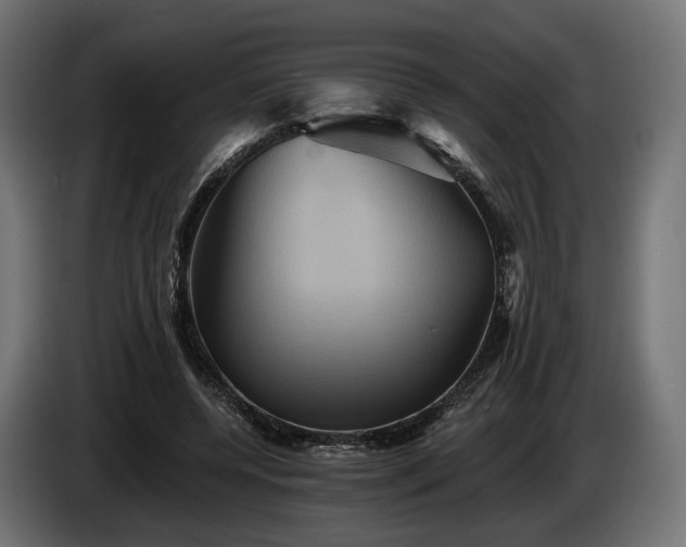 X0000084520544200703021358