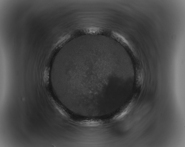 X0000084520545200703021358