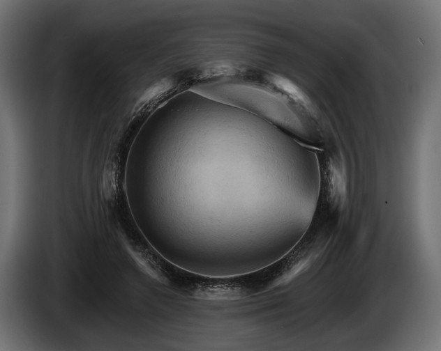 X0000084520546200703021358