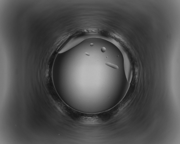 X0000084520548200703021358