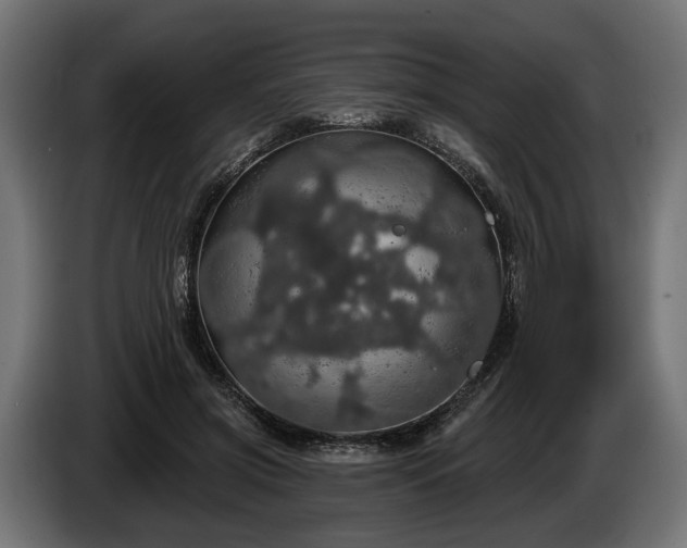 X0000084520549200703021358