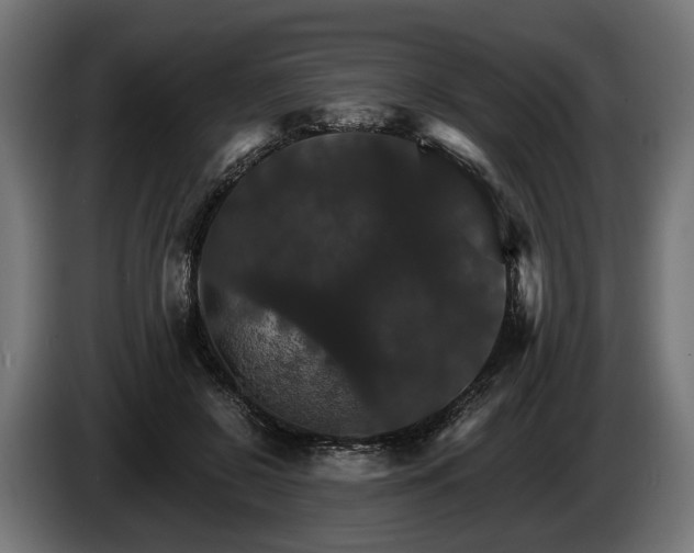 X0000084520550200703021358