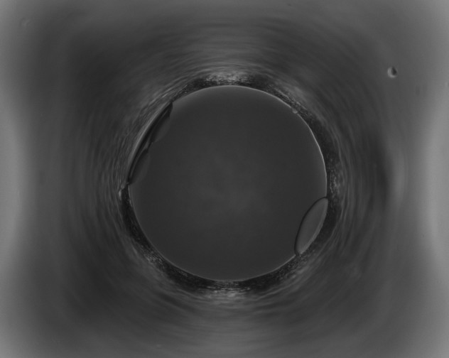 X0000084520551200703021358