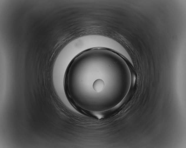 X0000084520552200703021358