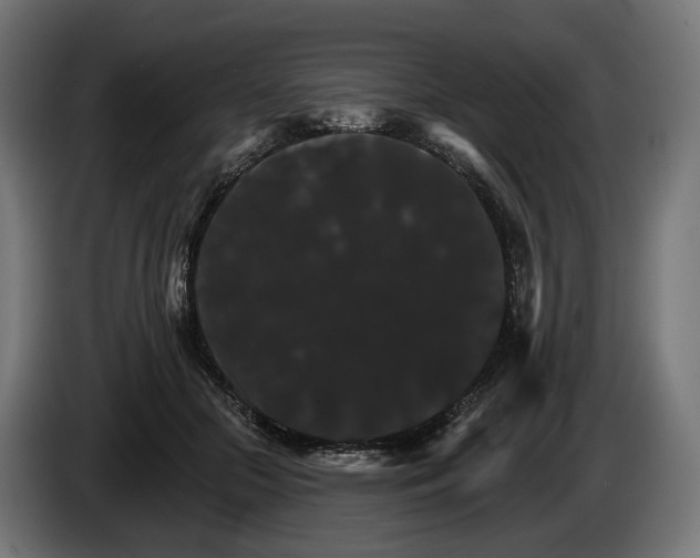 X0000084520553200703021358