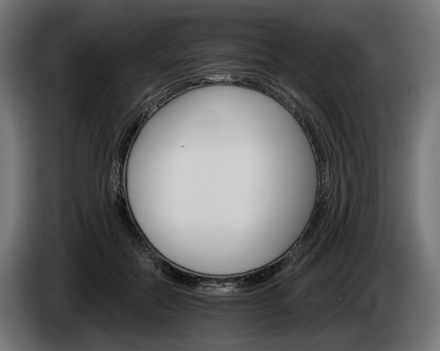 X0000084520554200703021358