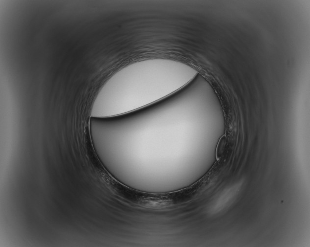 X0000084520555200703021358