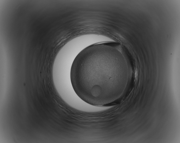 X0000084520556200703021358