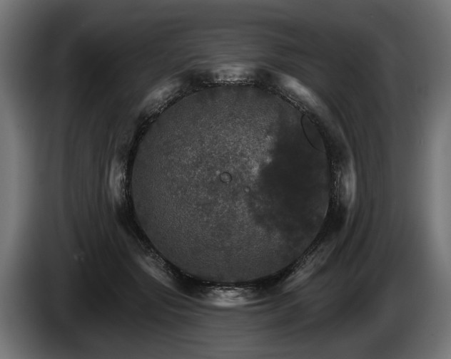 X0000084520557200703021358