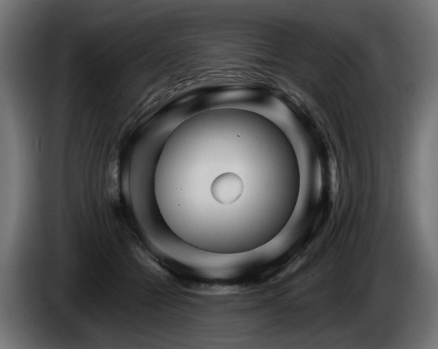 X0000084520558200703021358