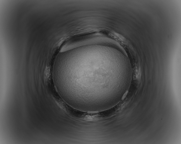 X0000084520560200703021358