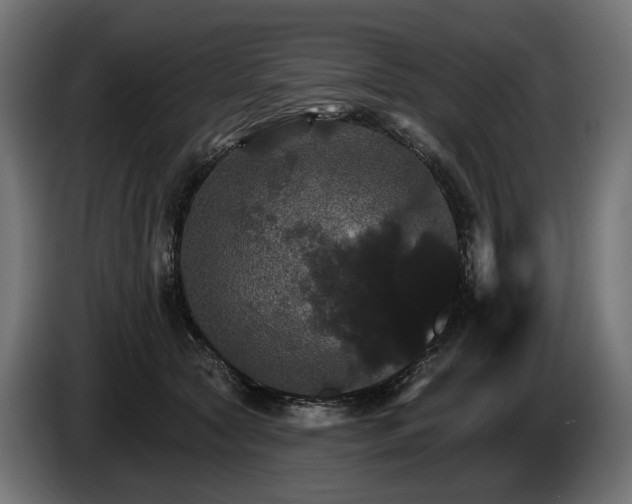 X0000084520561200703021358