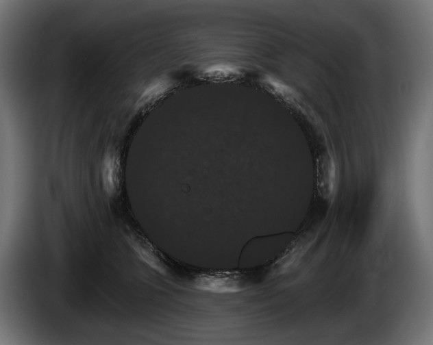 X0000084520563200703021358