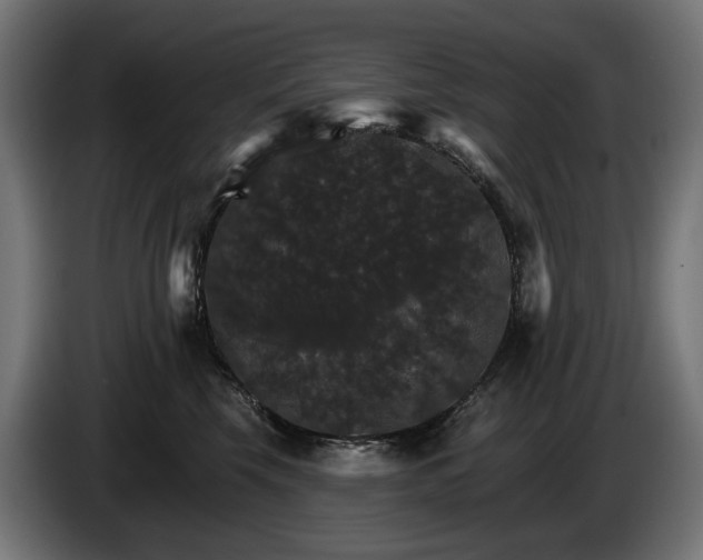 X0000084520569200703021358