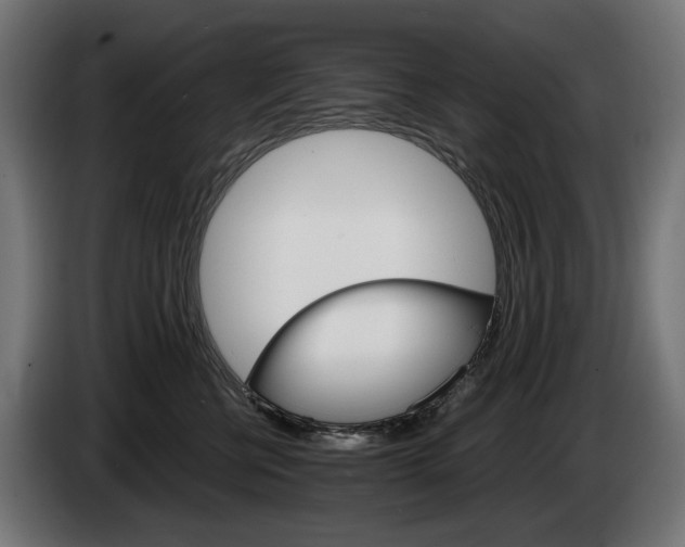 X0000084520570200703021358