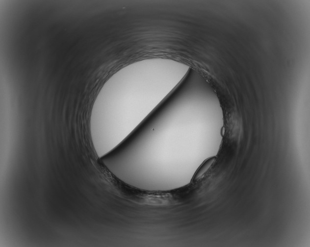 X0000084520571200703021358