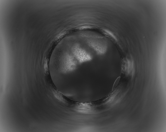 X0000084520573200703021358