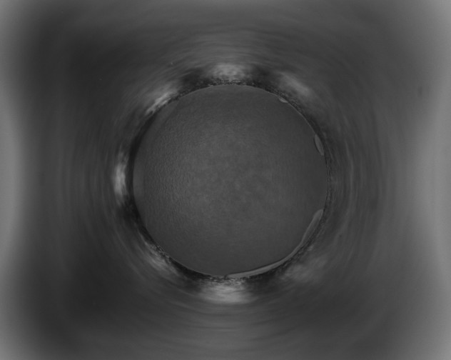 X0000084520576200703021358