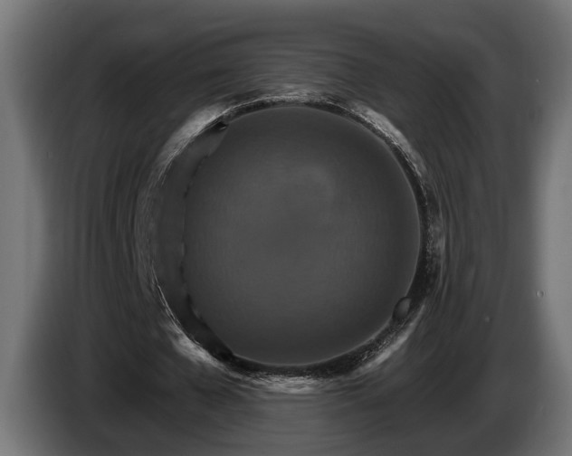 X0000084520577200703021357