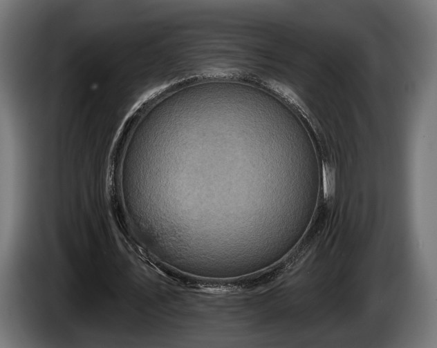 X0000084520579200703021357