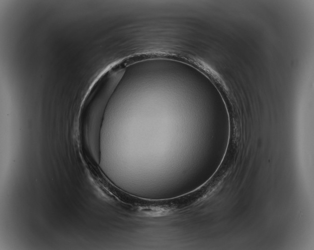 X0000084520580200703021357