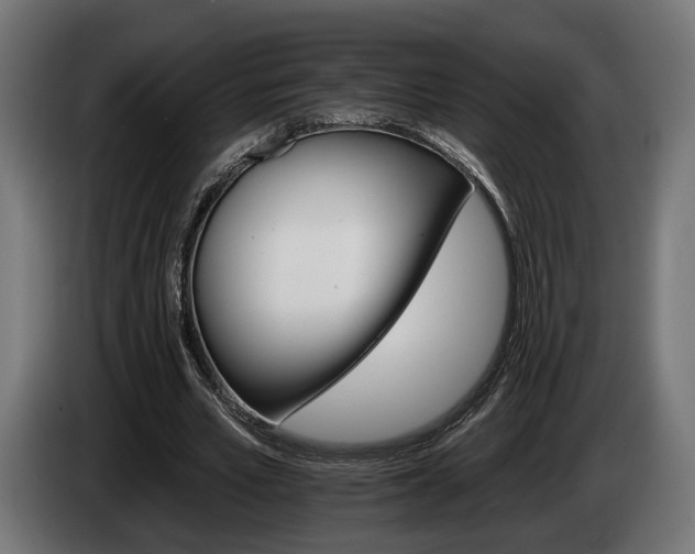 X0000084520581200703021357