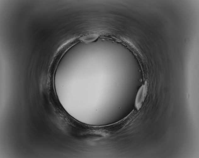 X0000084520583200703021357