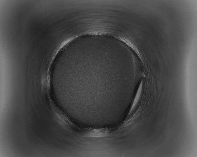 X0000084520584200703021357