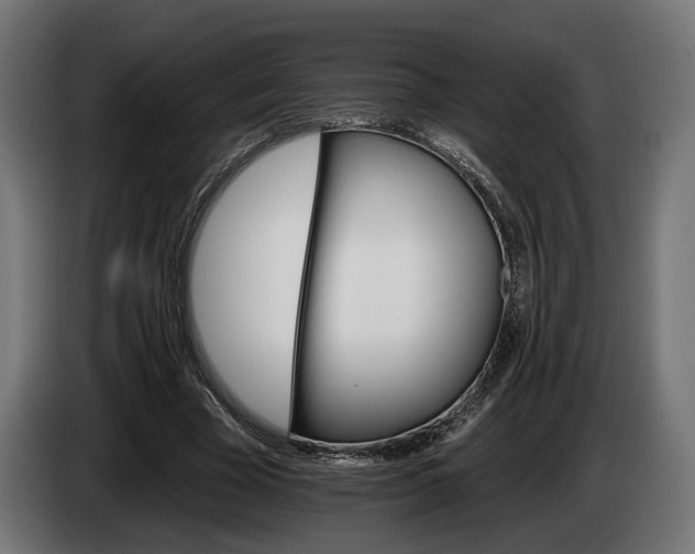 X0000084520585200703021357