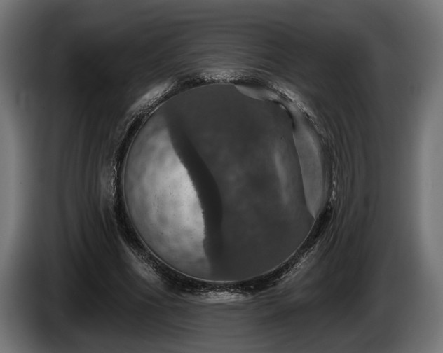 X0000084520586200703021357