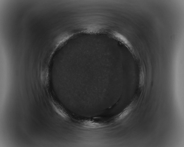 X0000084520588200703021357