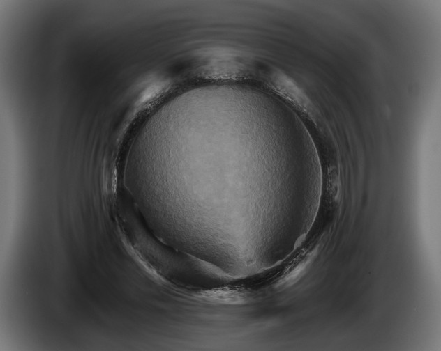 X0000084520589200703021357