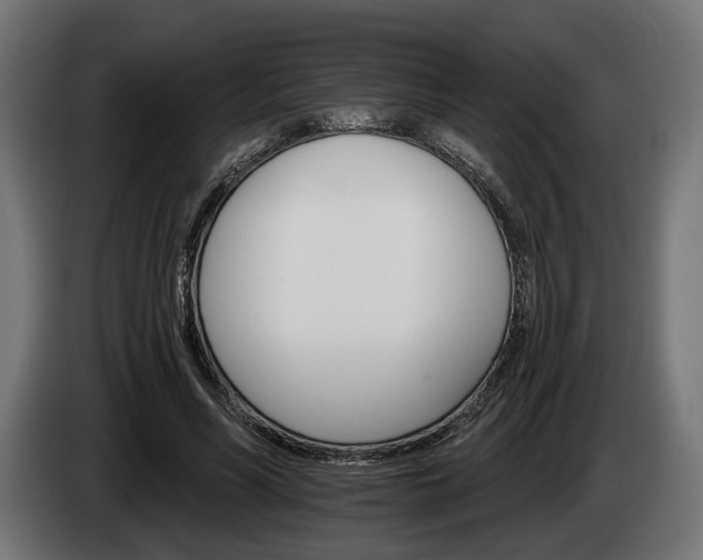 X0000084520590200703021357